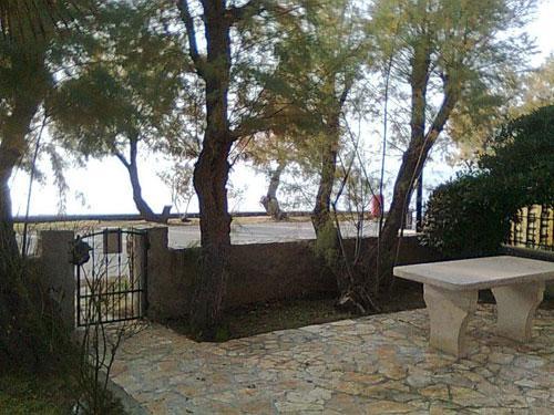 Apartment Rivarela 31 Novigrad Istria エクステリア 写真